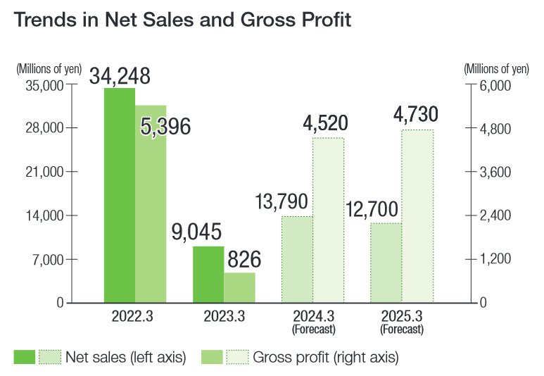 Trends in Net Sales and Gross Profit